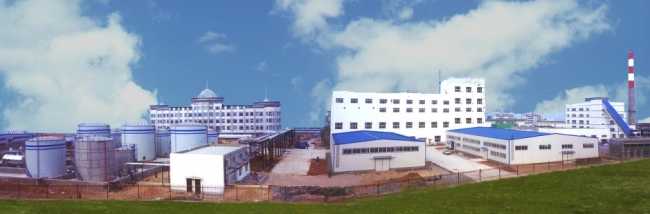 大連齊化化工有限責任公司年產2萬噸環氧樹脂裝置